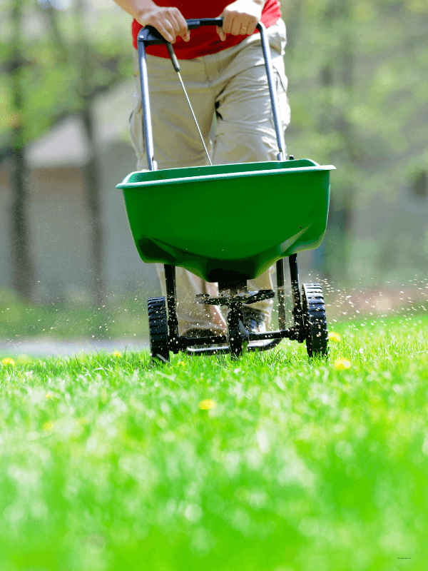 The Chemicals Hiding in Your Lawn Care